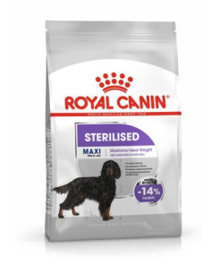 Royal Canin Maxi Sterilised, Cão, seco, Adulto, Alimento/Ração