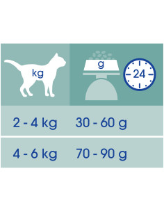 Purina Cat Chow Sterilised 15Kg 2