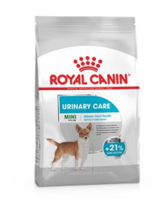 Royal Canin Maxi Dental Care, Cão, Seco, Adulto, Alimento/Ração