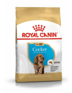 Royal Canin Cocker Puppy, Cão, Seco, Cachorro, Alimento/Ração