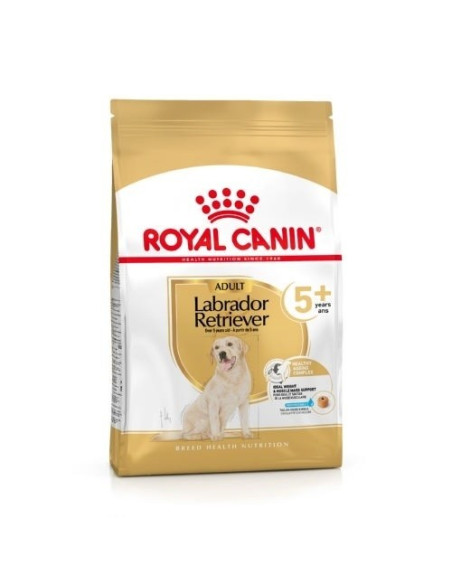 Royal Canin Labrador Retriever, Cão, Seco,  Adult, Alimento/Ração