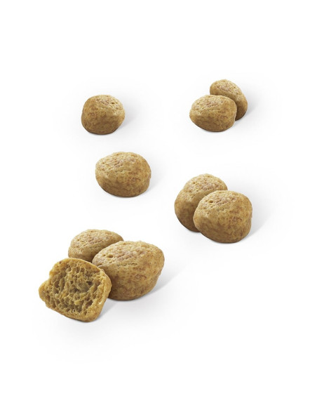 PURINA DentaLife Snacks Gato Salmão 40gr.