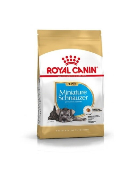 Royal Canin Miniature Schnauzer Puppy, Cão, Seco, Puppy, Alimento/Ração