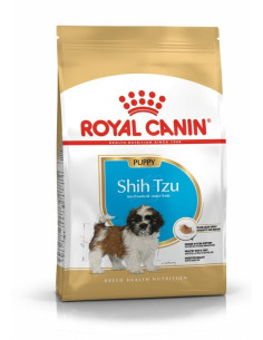 Royal Canin Shih Tzu, Cão, Seco, Adulto, Alimento/Ração