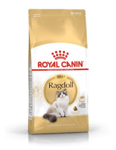 Royal Canin Ragdoll, Gato, Seco, Adulto, Ragdoll, Alimento/Ração