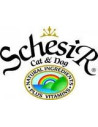 Schesir